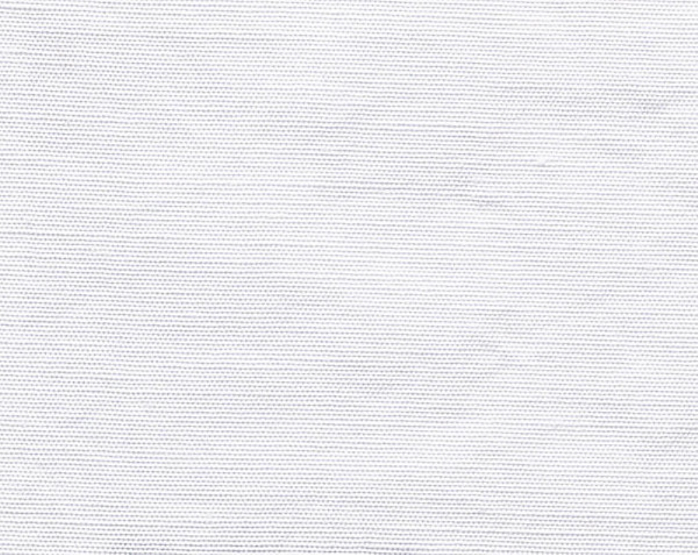 Scalamandre CH 01004410 Beluna Fabric in Swan
