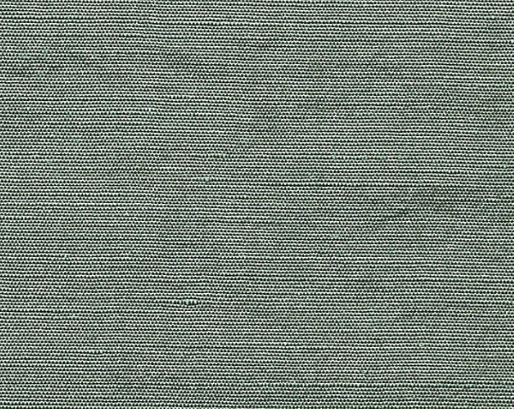 Scalamandre CH 01194410 Beluna Fabric in Cypress
