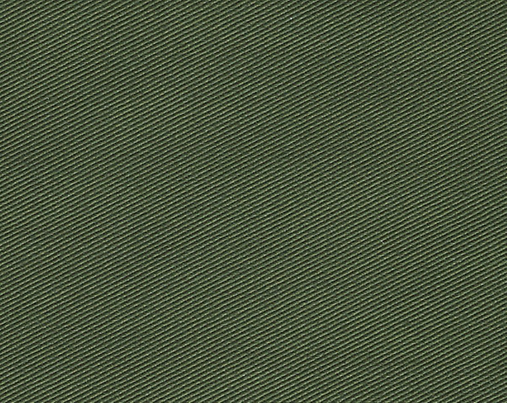 Scalamandre CH 01244450 Kay Ii Fabric in Forest