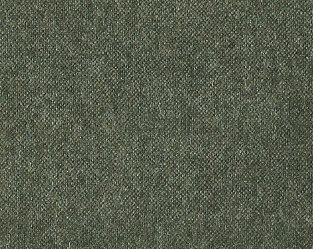 Scalamandre CH 03144393 Polaris Fabric in Moss