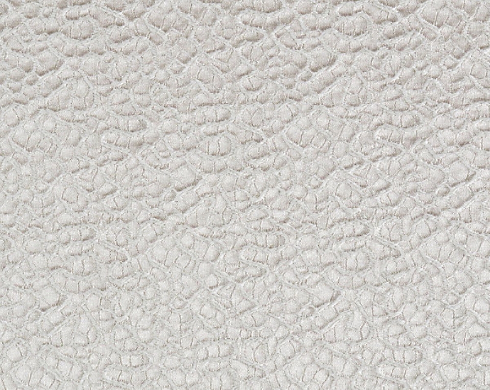 Scalamandre F3 36068006 Galleria Colonna Lace Fabric in Sand