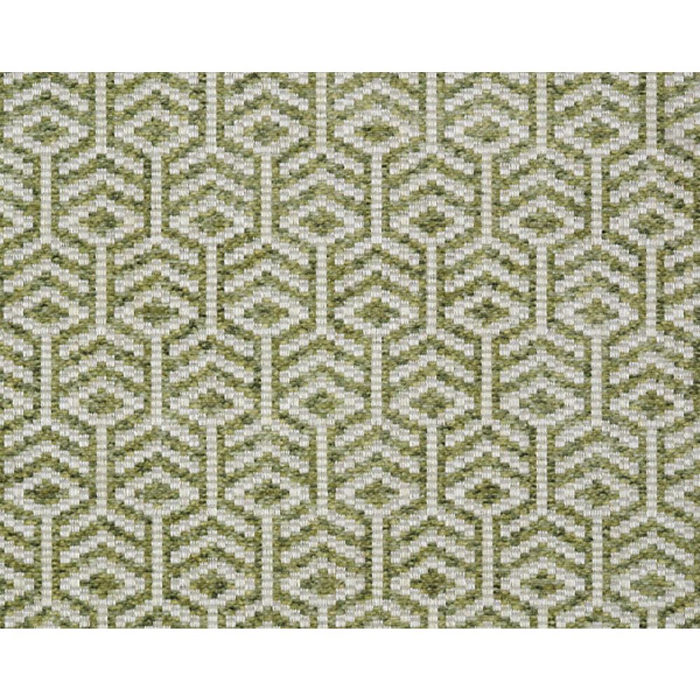 Scalamandre FO 00051417 Canyon Axial Fabric in Spring Green