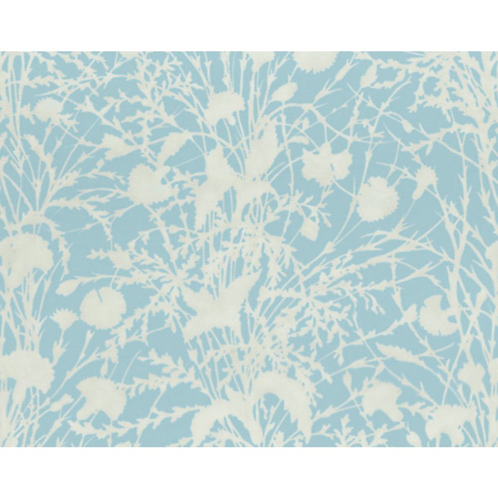 Scalamandre GW 000216623 Flora Wildflower Fabric in Morning Sky