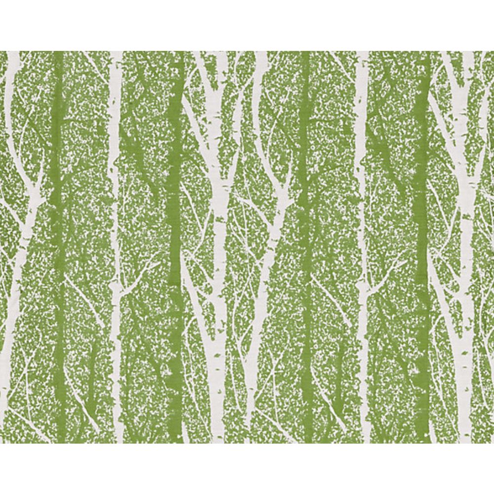 Scalamandre GW 000227205 Breeze Birch Weave Fabric in Spring Green