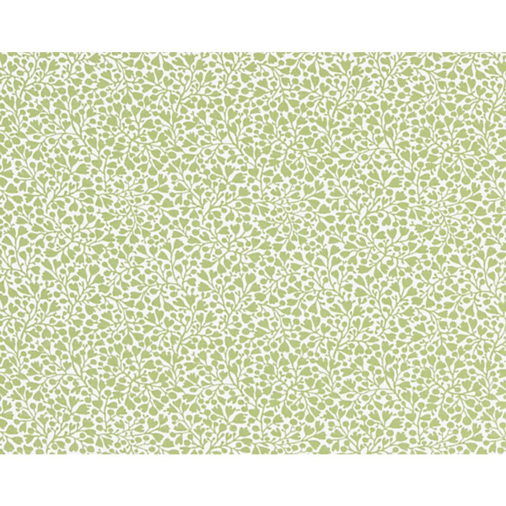 Scalamandre GW 000227228 Flora Elodie Weave Fabric in Willow