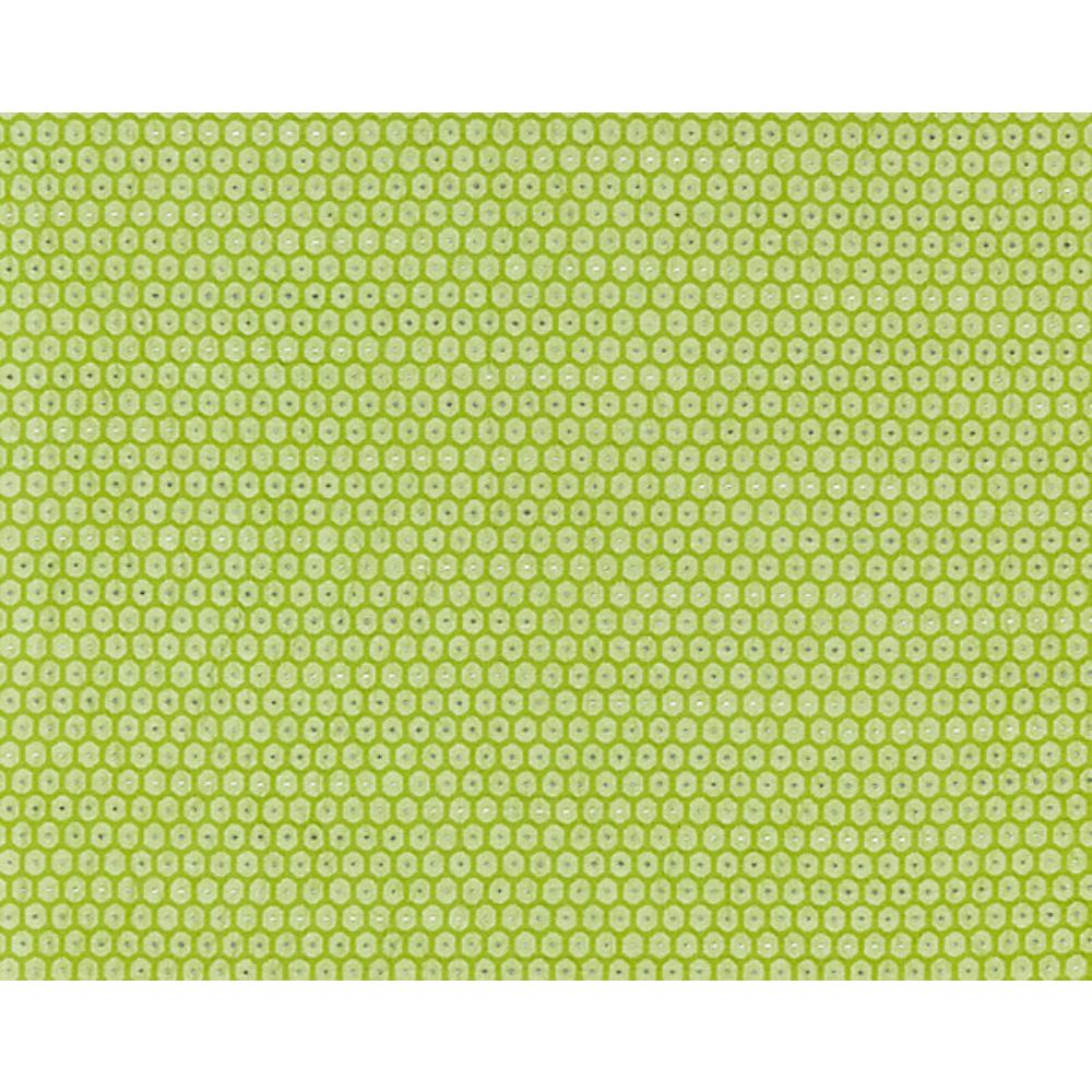 Scalamandre GW 000327209 Breeze Honeycomb Weave Fabric in Kiwi