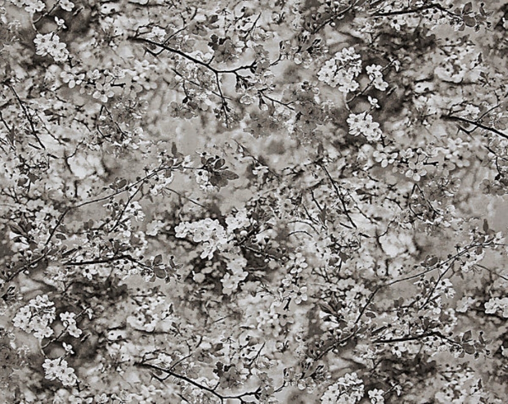 Scalamandre H0 00013468 Sakura Tapestry Fabric in Naturel