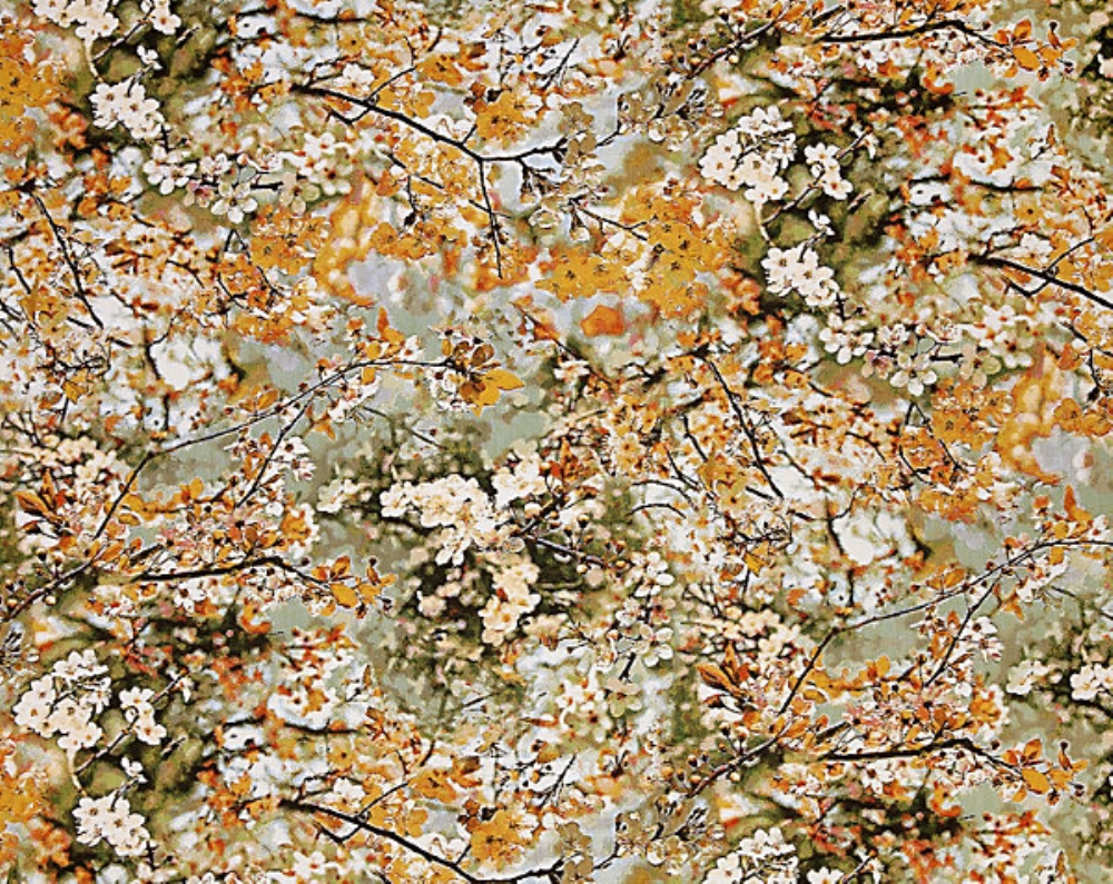 Scalamandre H0 00023468 Sakura Tapestry Fabric in Dore