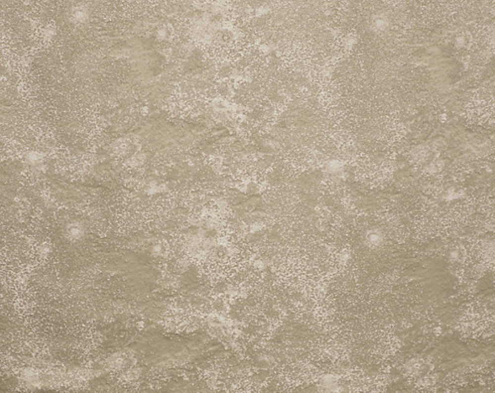 Scalamandre H0 00024229 Astral Fabric in Lune