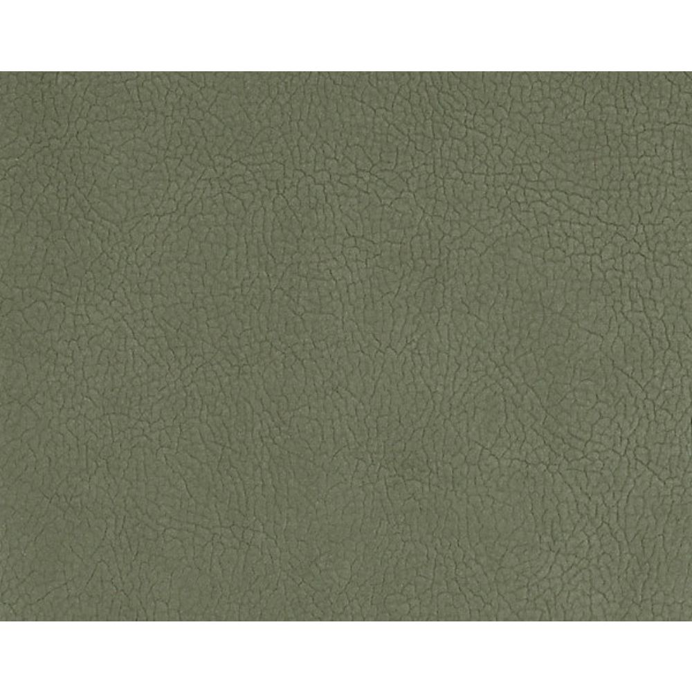 Scalamandre H6 37545937 Essential Leathers / Suedes / Hides Georgia Suede Fabric in Sage