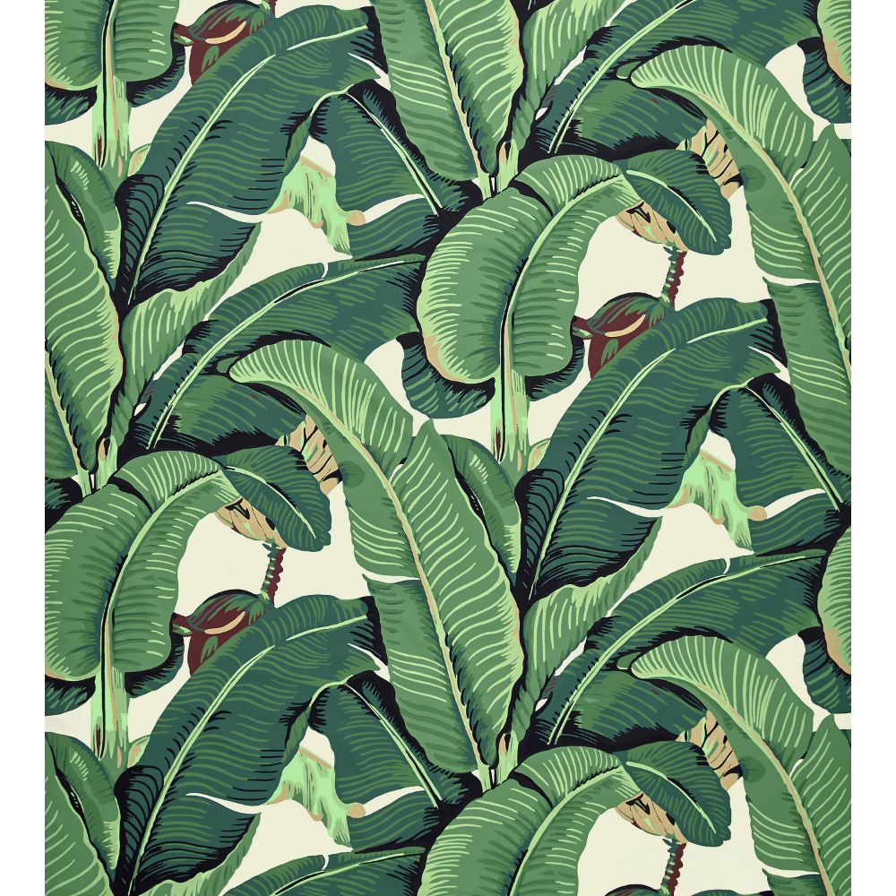 Scalamandre HN 000142010 Hinson Palm Cotton Print Fabric in Green