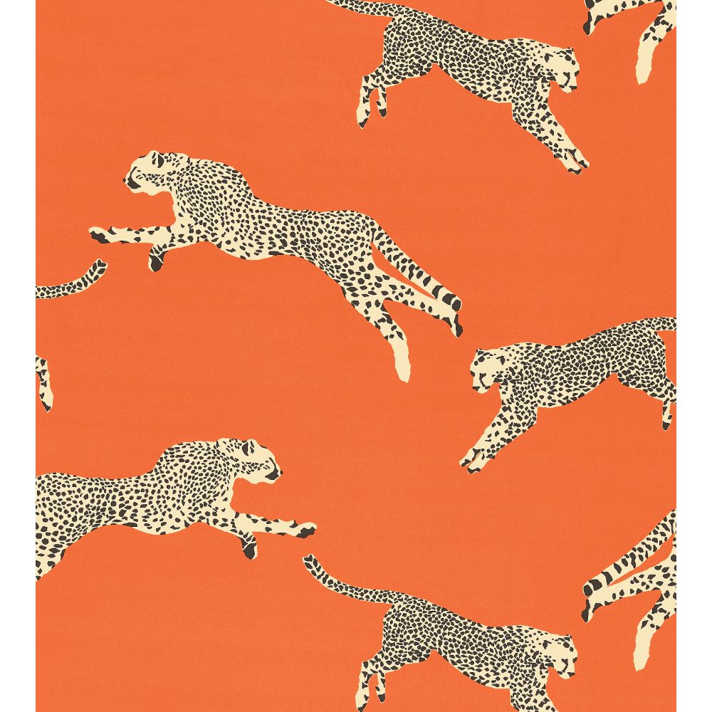 Scalamandre SC 000216634 Leaping Cheetah Cotton Print Fabric in Clementine