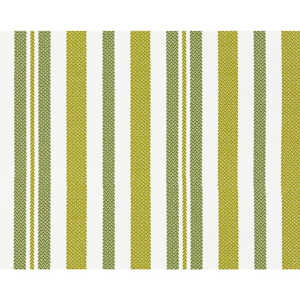 Scalamandre SC 000227188 Isola Santorini Stripe Fabric in Palm