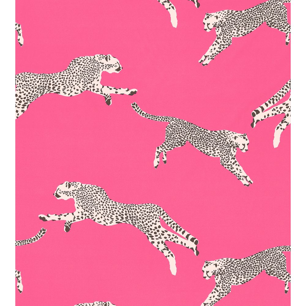 Scalamandre SC 000316634 Leaping Cheetah Cotton Print Fabric in Bubblegum