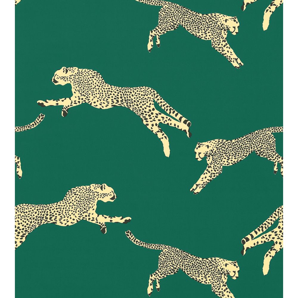 Scalamandre SC 000516634 Leaping Cheetah Cotton Print Fabric in Evergreen
