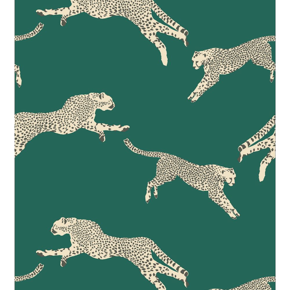 Scalamandre SC 0005WP88449 Leaping Cheetah Wallcovering in Evergreen