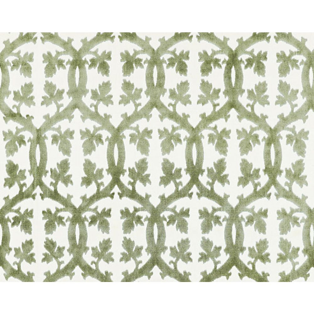 Scalamandre SC 001626690M Botanica Falk Manor House Fabric in Green Tea