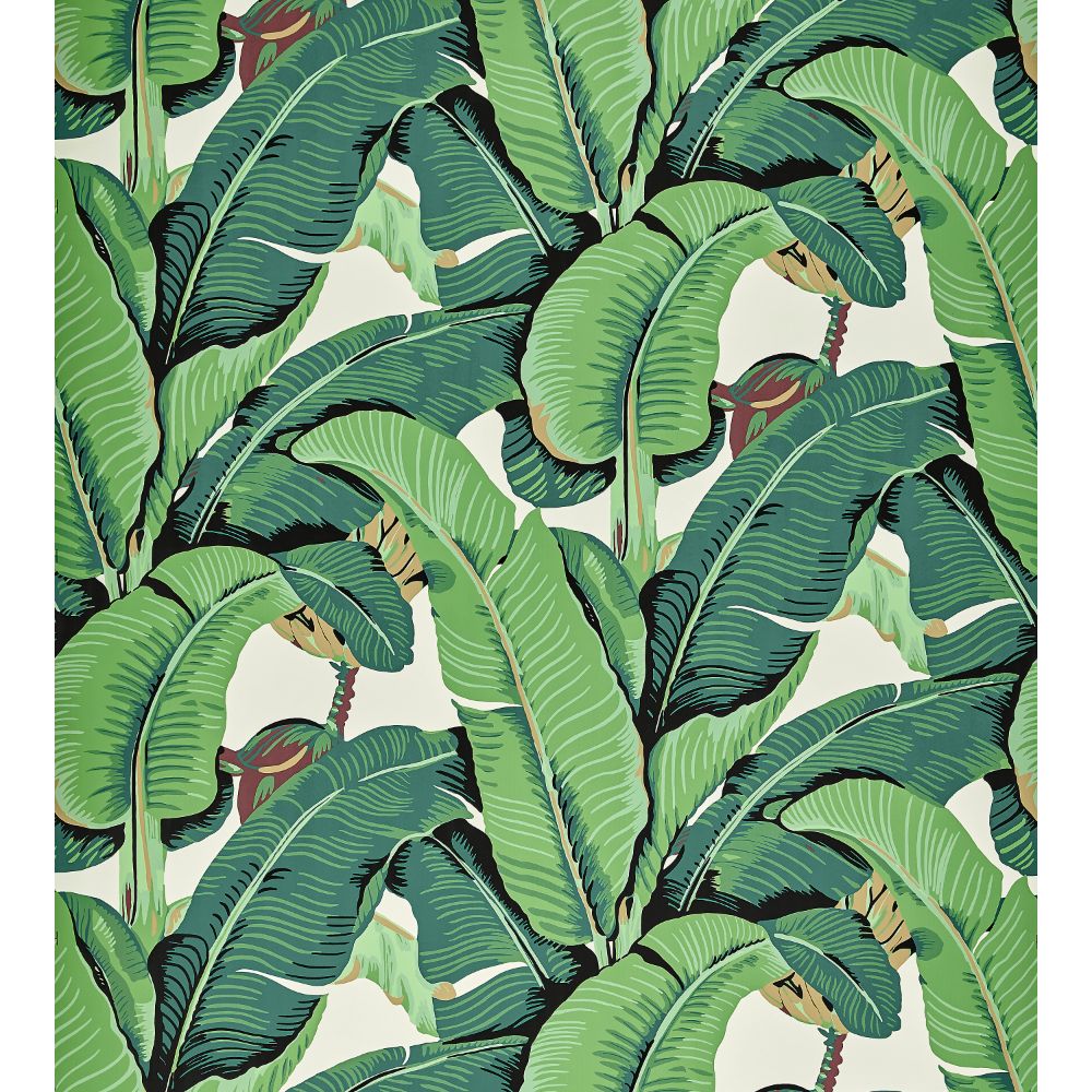 Scalamandre WHN000144000 Hinson Palm Wallcovering in Green