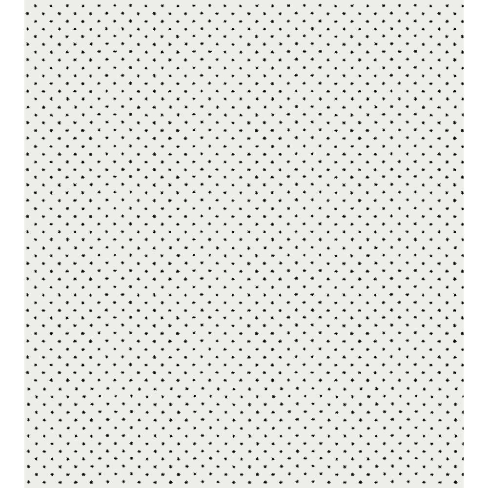 Scalamandre WHN000EP0665 Lee Wallcovering in Black On White