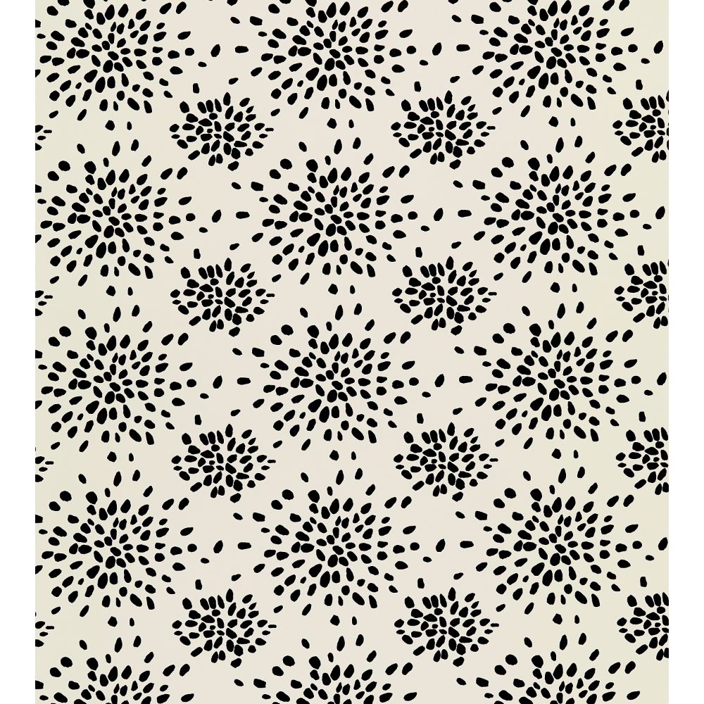 Scalamandre WHN000EP1020 Fireworks Wallcovering in Black On Off-white