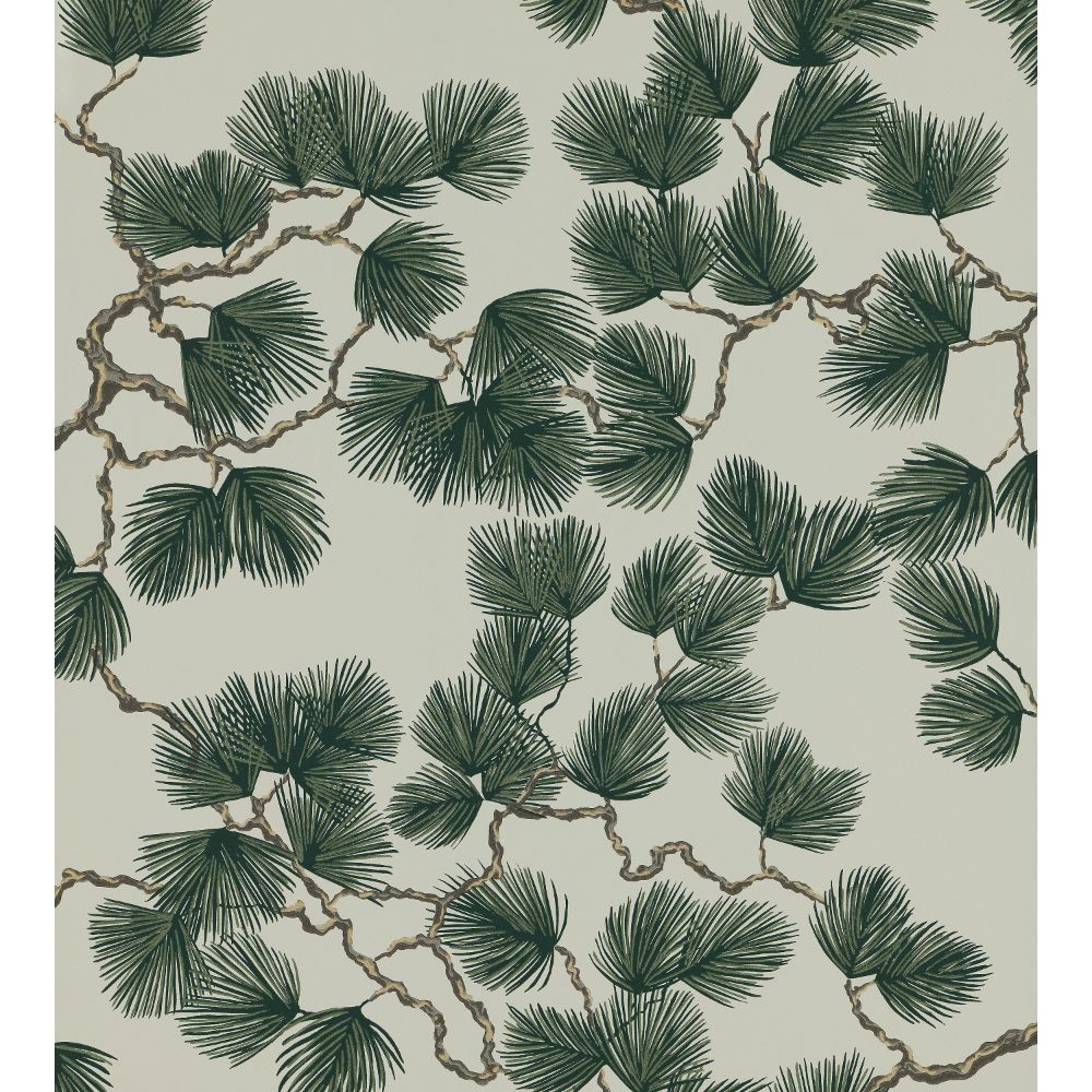 Scalamandre WSB00780804 Pine Wallcovering in Green
