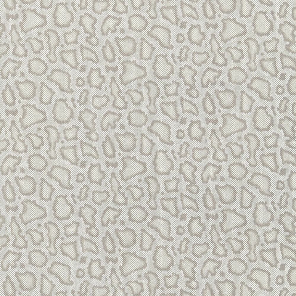 Schumacher 175060 Park Avenue Python Fabric in Dove