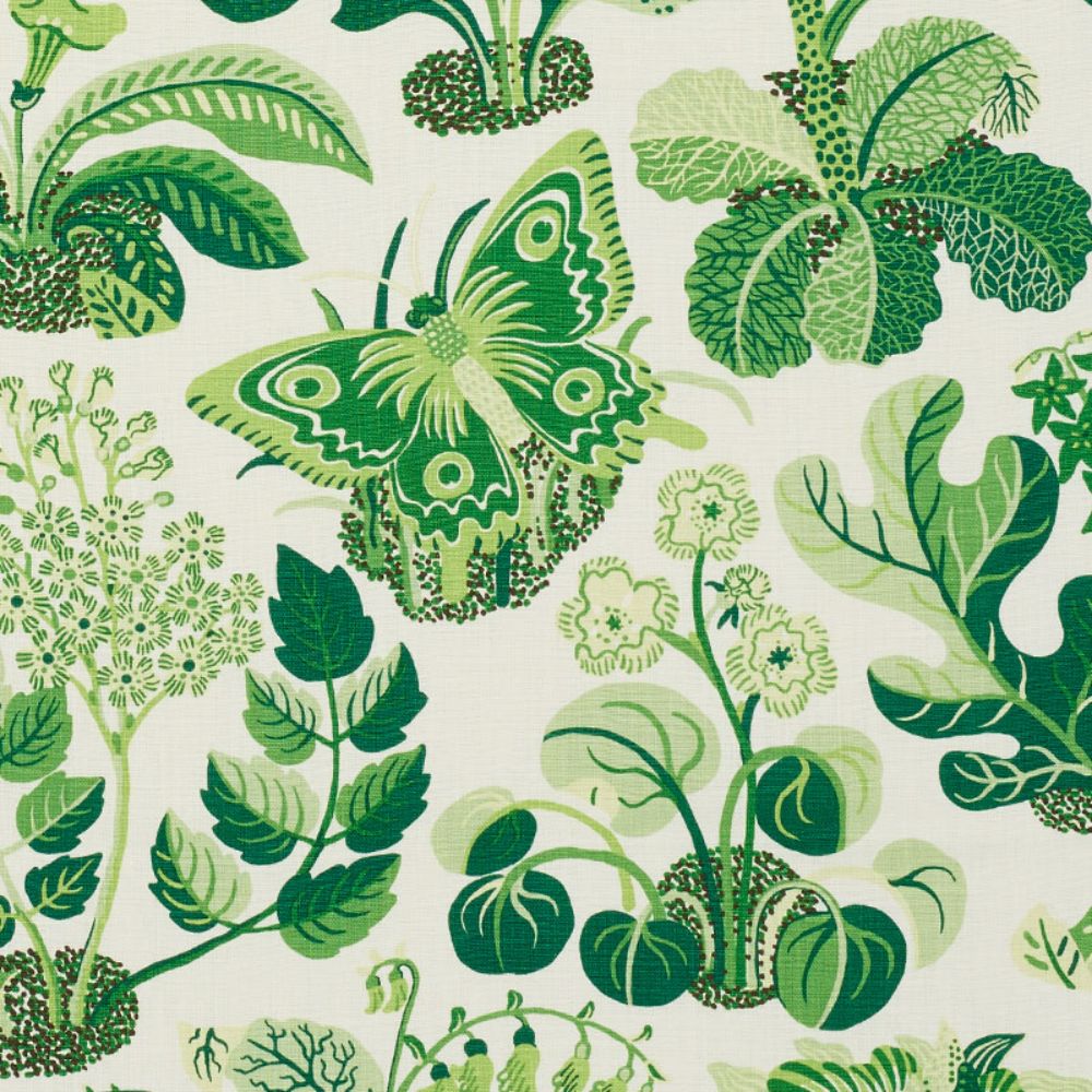 Schumacher 176185 Exotic Butterfly Fabric in Leaf