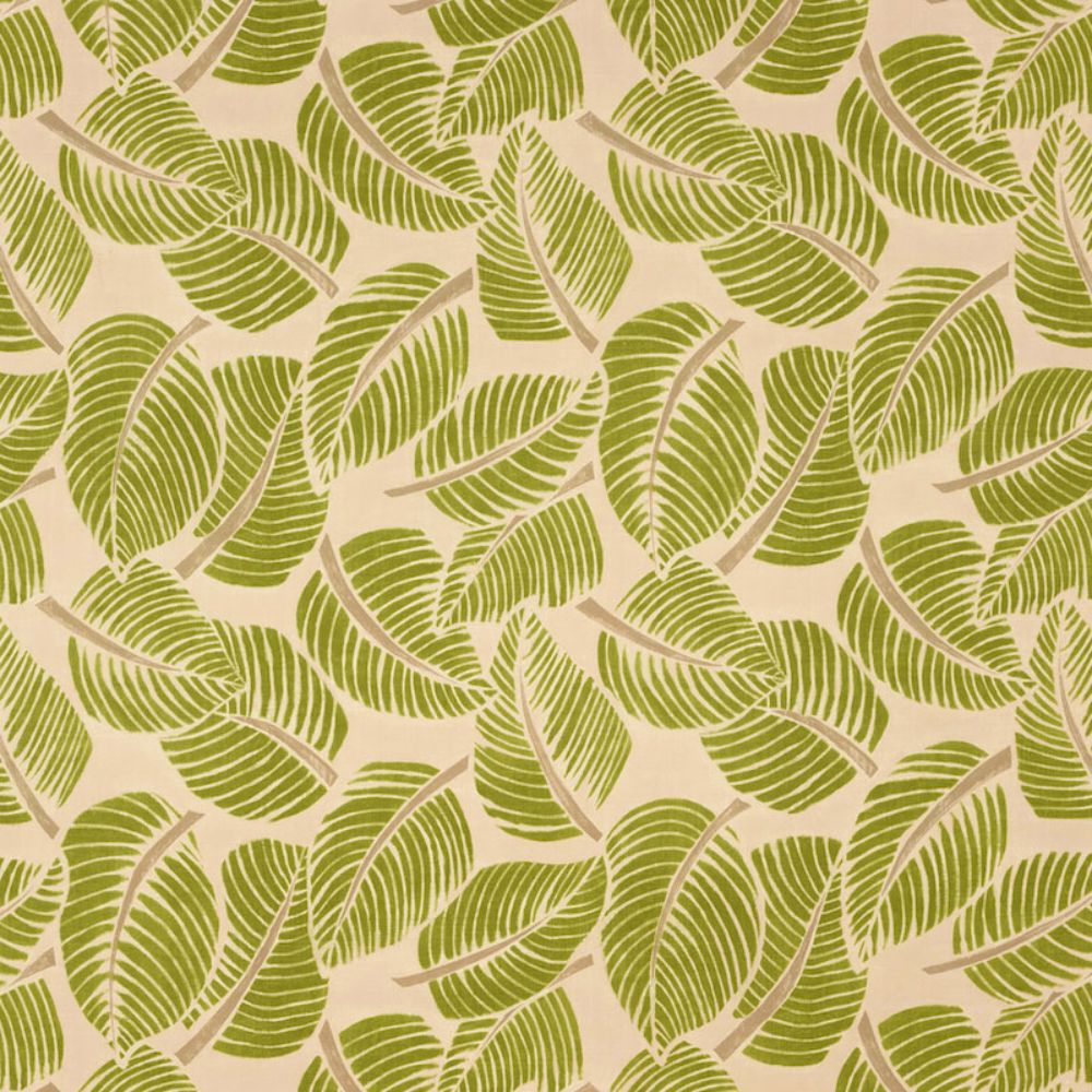 Schumacher 176190 Costa Rica Fabric in Leaf