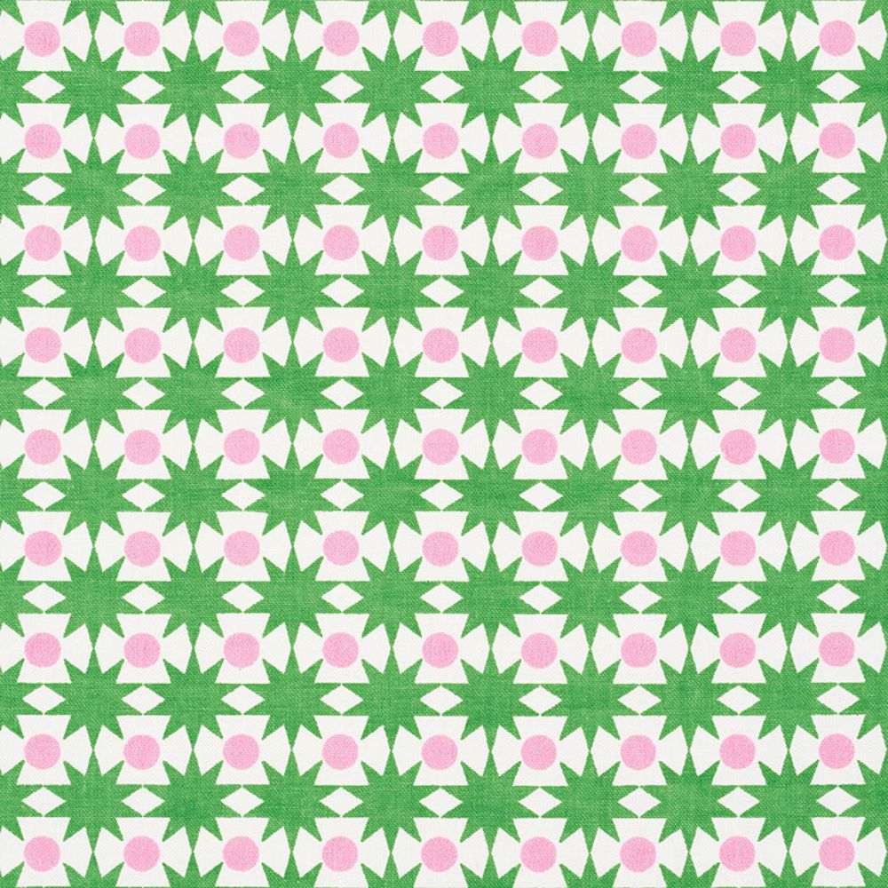Schumacher 177061 Cosmos Fabric in Watermelon