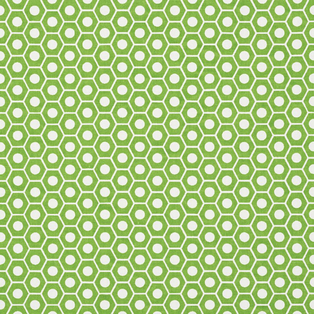 Schumacher 177075 Queen B Fabric in Green
