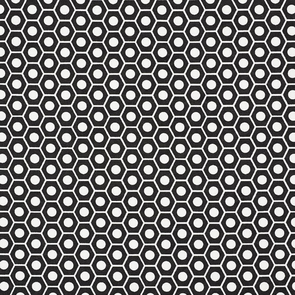 Schumacher 177078 Queen B Fabric in Black