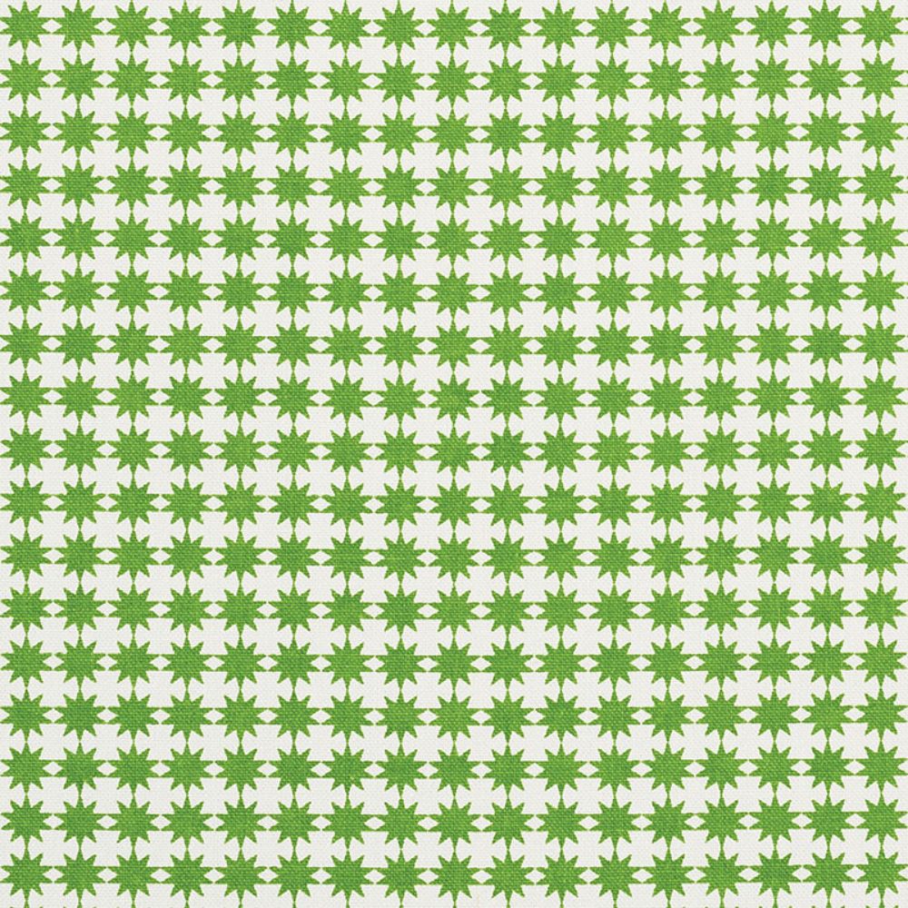 Schumacher 177082 Stella Fabric in Green