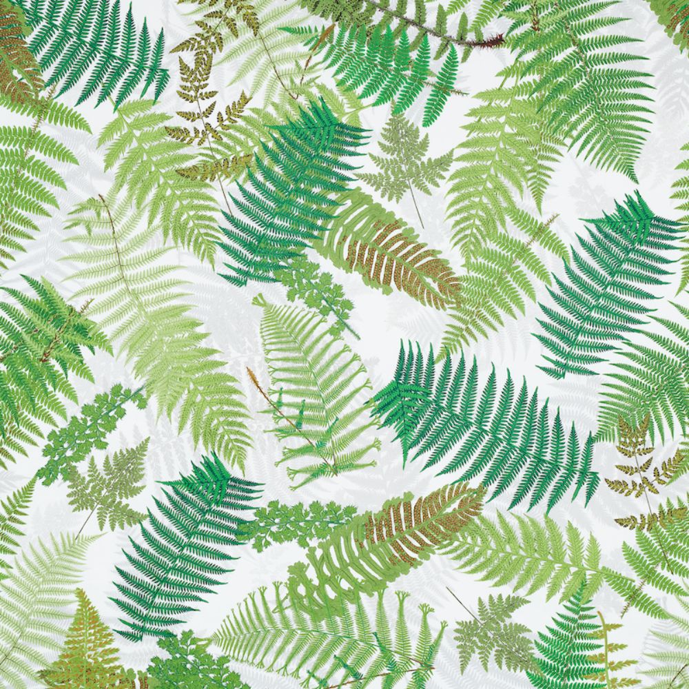 Schumacher 177590 Fernarium Fabric in Green & Ivory
