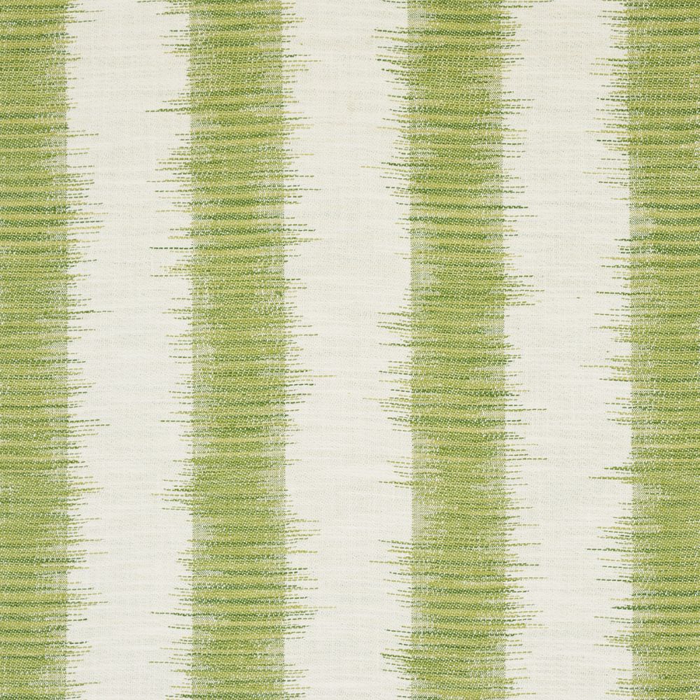 Schumacher 177814 Attleboro Ikat Fabrics in Green