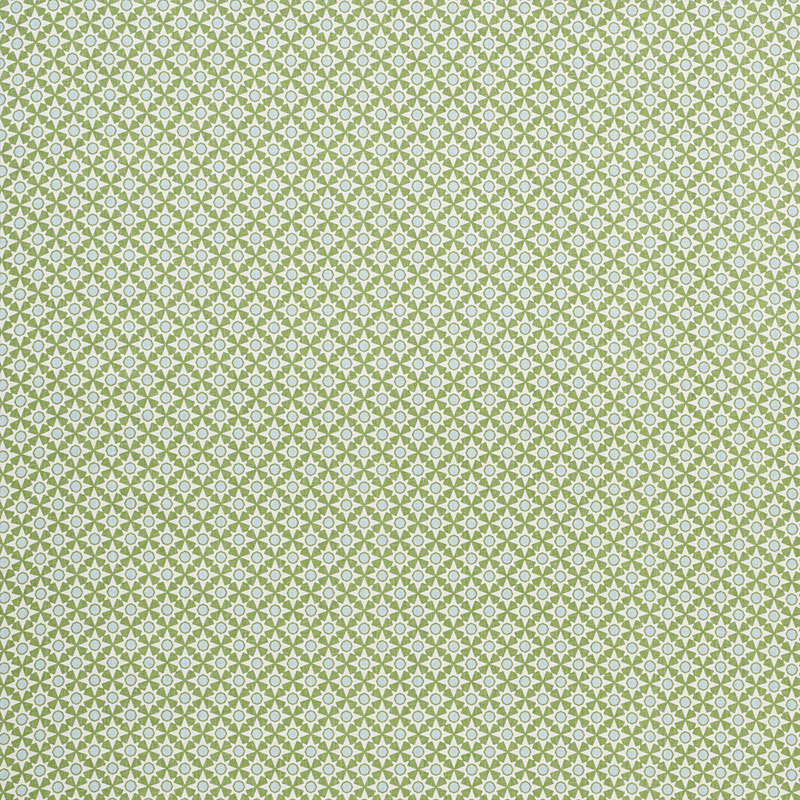 Schumacher 177961 Clique Collection Serendipity Fabric  in Green