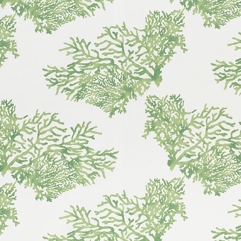 Schumacher 178291 Indooroutdoor-Prints-Wovens-Iv Collection Great Barrier Reef Ii Fabric  in Green