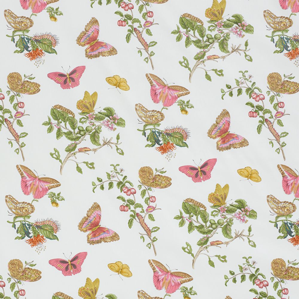 Schumacher 178720 Baudin Butterfly Chintz Fabric in Blush