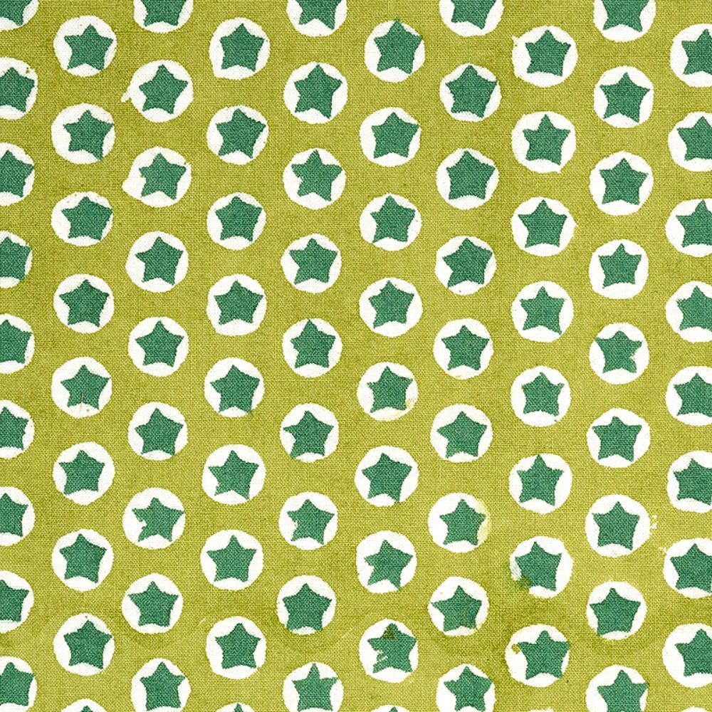 Schumacher 179223 Tuk Tuk Fabric in Green