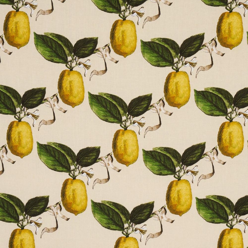 Schumacher 180632 Johnson Hartig Le Citron Fabric in Natural