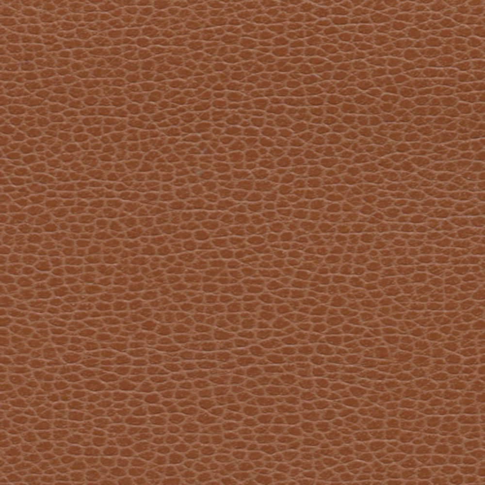 Schumacher 363-3144 Promessa Fabric in Leather