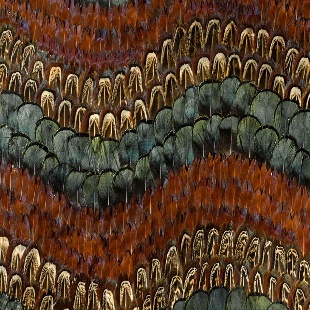 Schumacher 5003880 Biscayne Wallpaper in Peacock & Pheasant