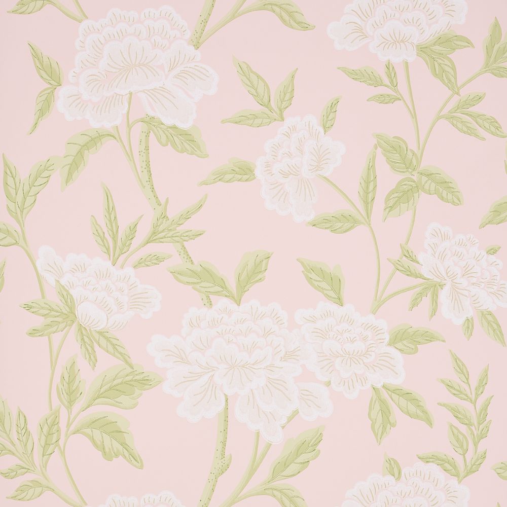Schumacher 5004386 Whitney Floral in Wallcoverings in Blush