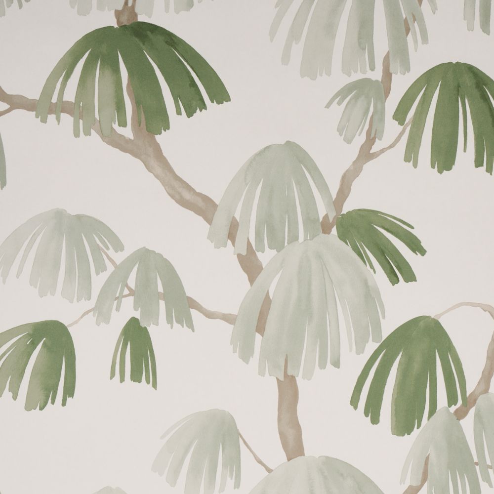 Schumacher 5008332 Weeping Pine Wallcoverings in Sage