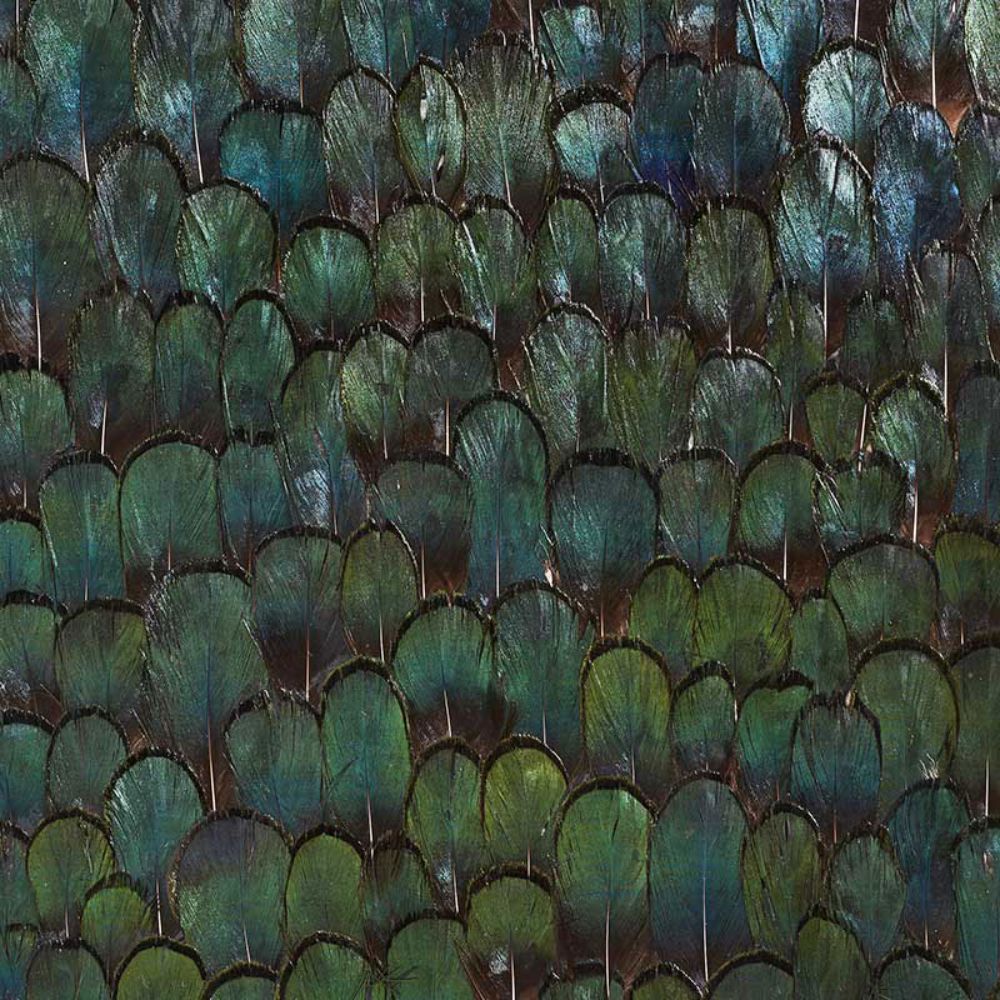 Schumacher 5008380 Jade Wallpaper in Forest Green
