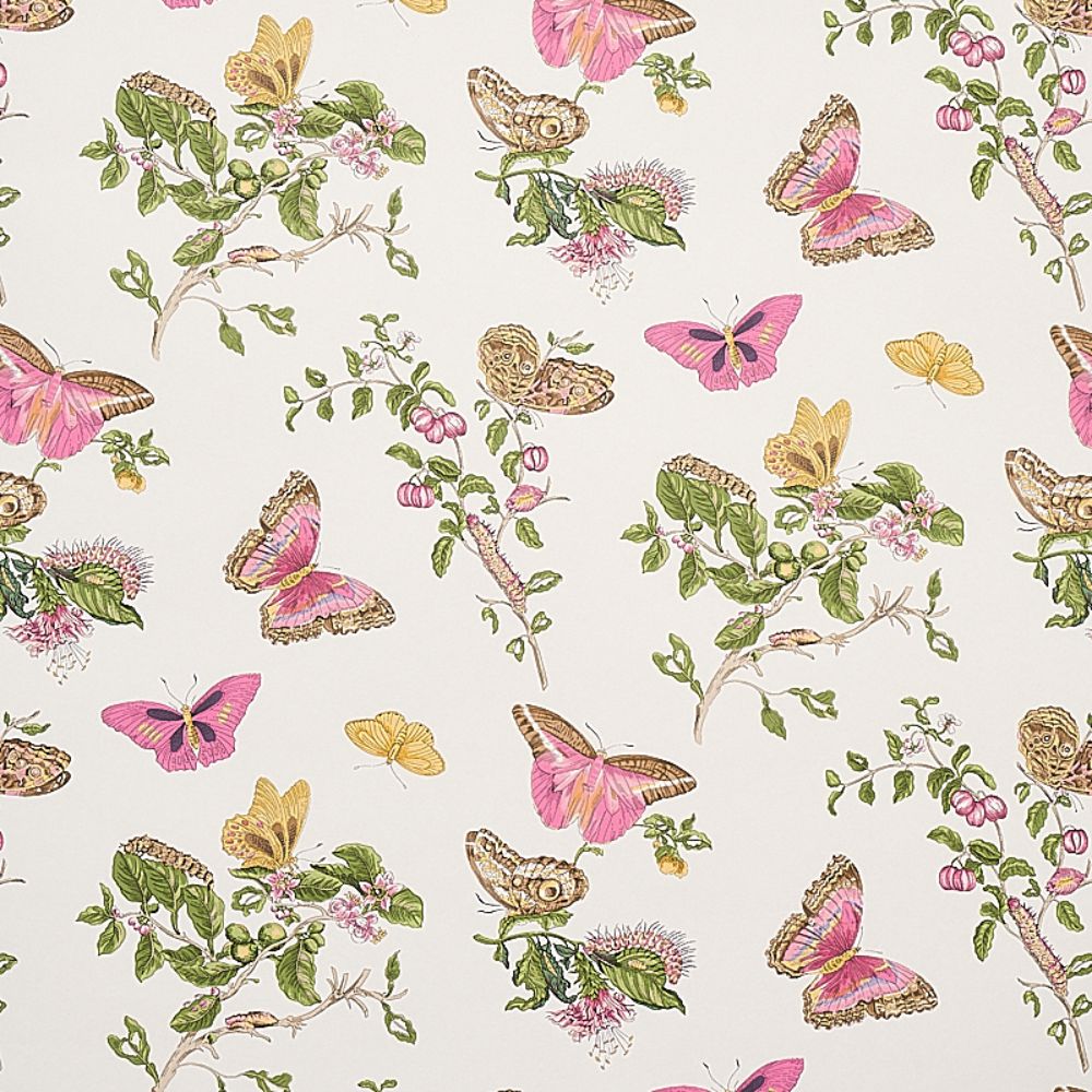 Schumacher 5010690 Baudin Butterfly Wallpaper in Blush