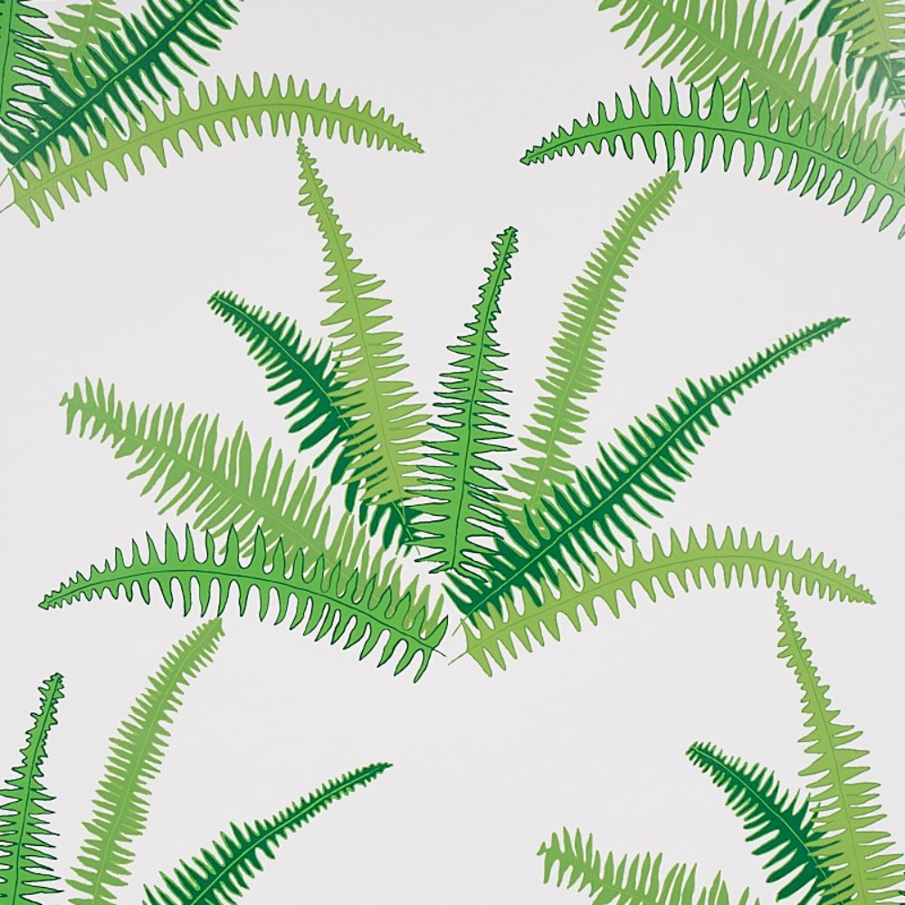 Schumacher 5012621 Canyon Ferns Wallcoverings in Jungle