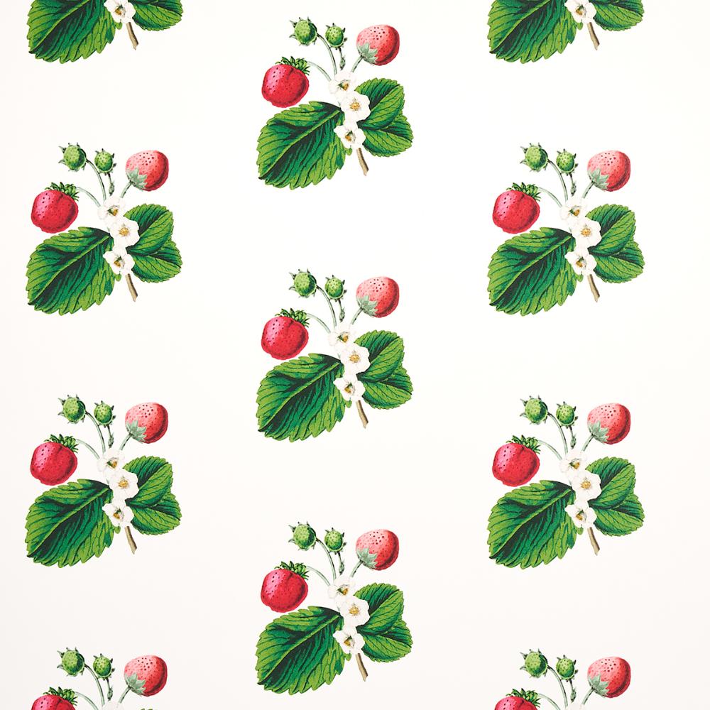 Schumacher 5014320 Strawberry Hill Wallpaper in White