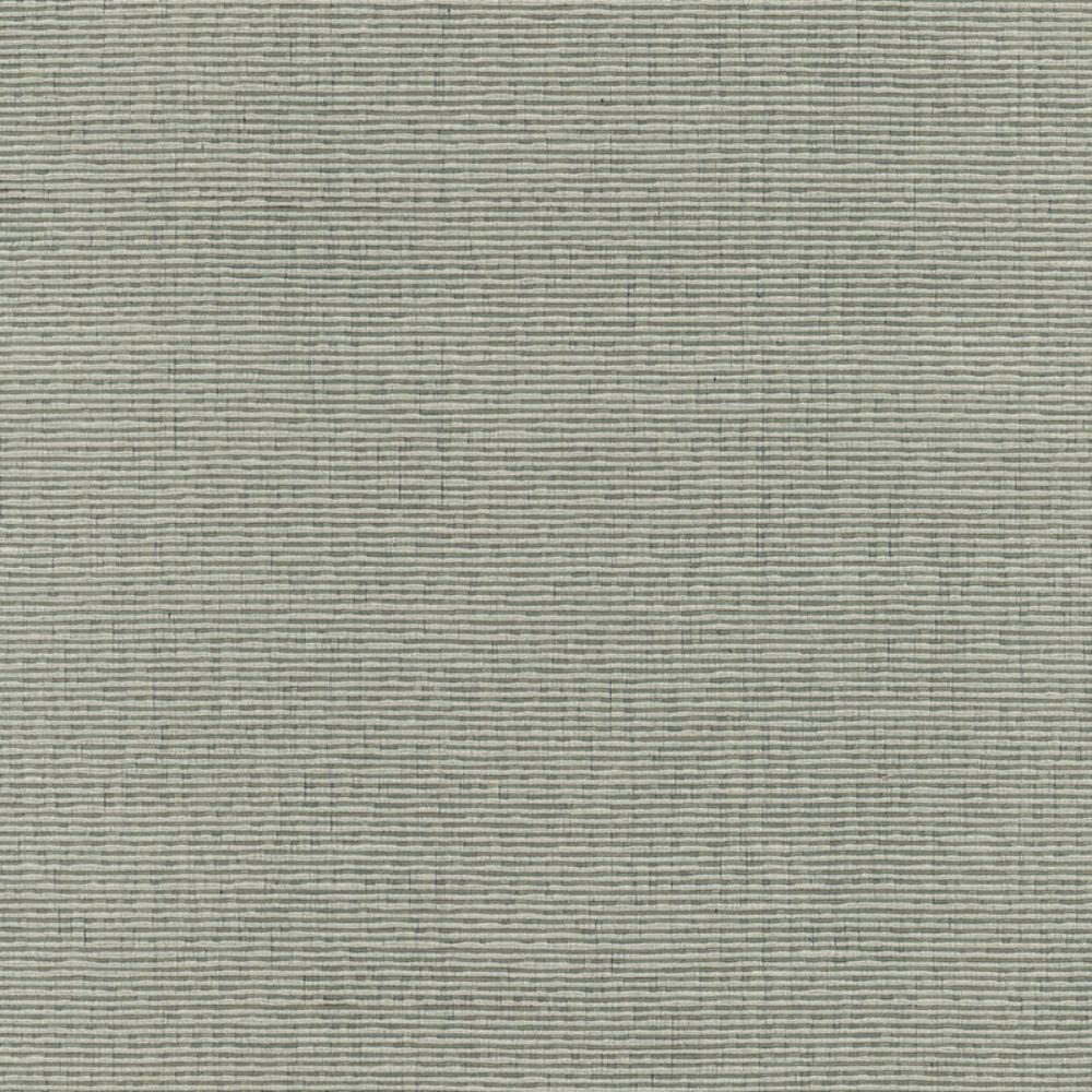 Schumacher 54965 Delacroix Silk Ottoman Fabric in Nickel