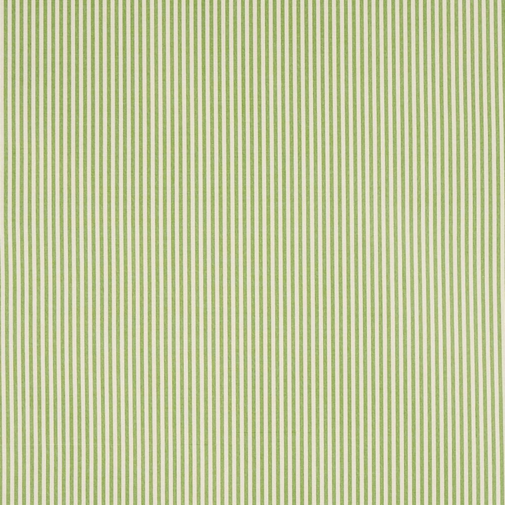 Schumacher 60925 Charee Silk Stripe Fabrics in Green