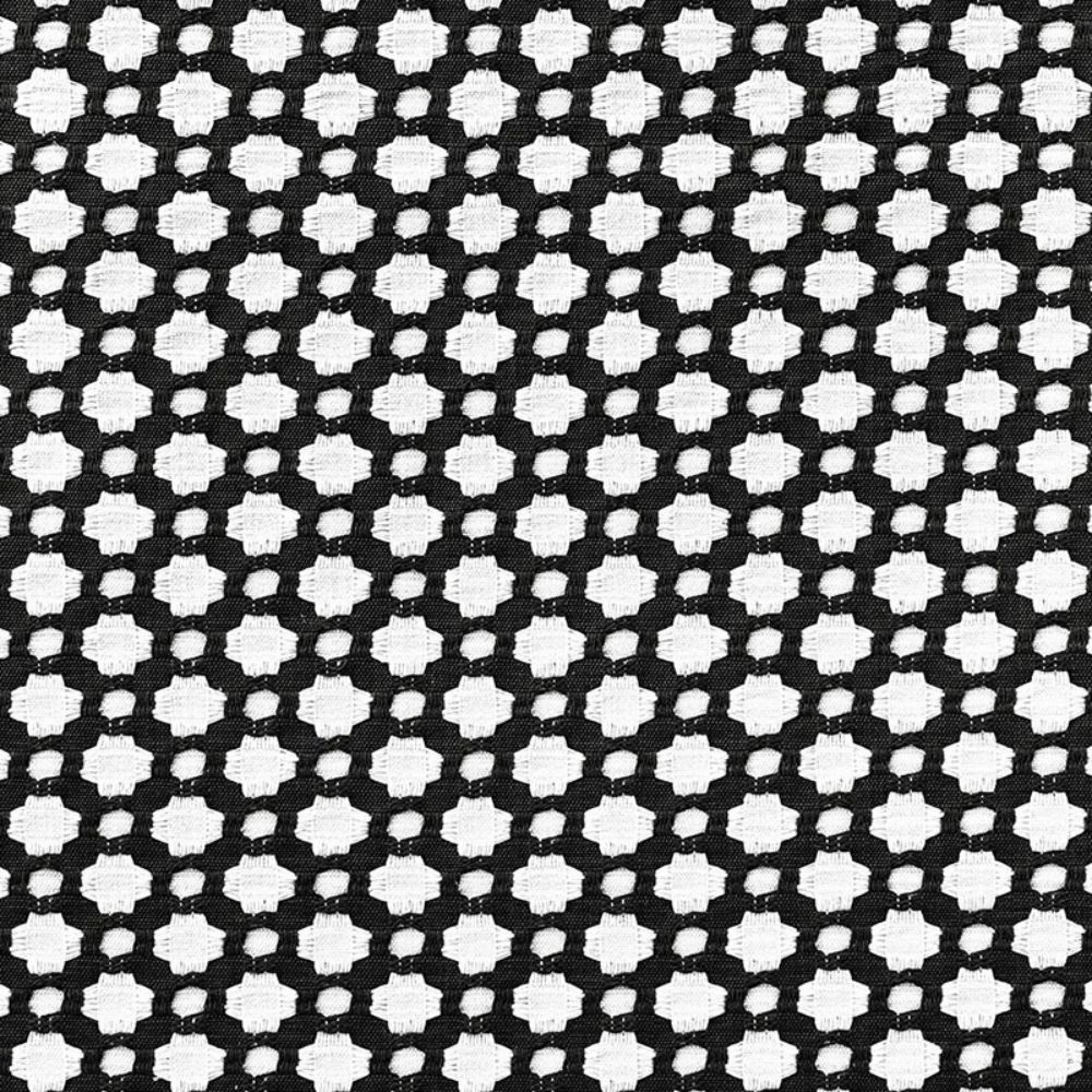 Schumacher 65683 Betwixt Fabric in Black / White